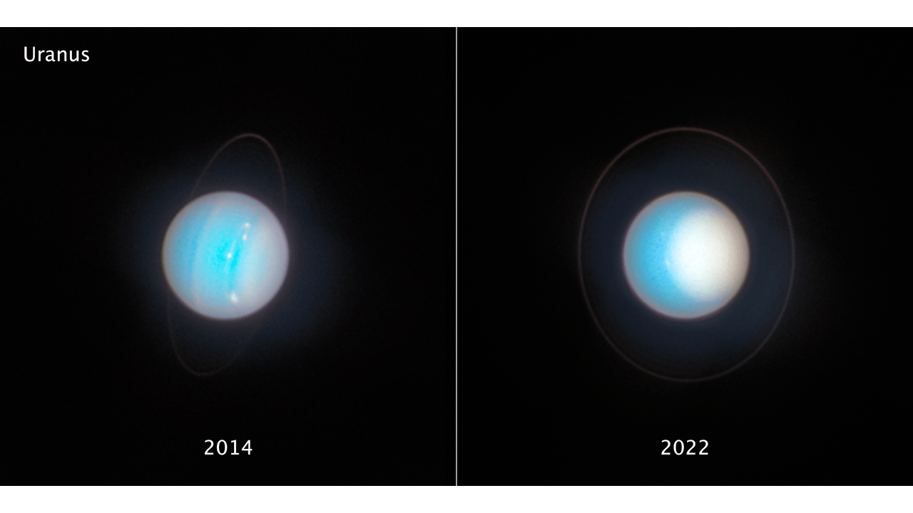 Essas imagens lado a lado de Urano, capturadas com oito anos de diferença pelo Telescópio Espacial Hubble da NASA, revelam mudanças sazonais na refletividade do planeta. A primeira, à esquerda, foi registrada sete anos após o equinócio de primavera no hemisfério norte, quando o Sol ainda iluminava a região equatorial. Já na imagem à direita, feita seis anos antes do solstício de verão, é possível observar uma calota polar norte muito mais brilhante e extensa — evidência clara das transformações atmosféricas ao longo do tempo.
Créditos: NASA, ESA, STScI, A. Simon (NASA-GSFC), M. H. Wong (UC Berkeley), J. DePasquale (STScI)
