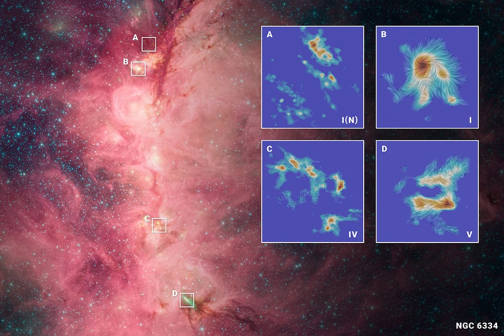 Esta imagem do Telescópio Espacial Spitzer, da NASA, mostra uma região de formação estelar na nuvem molecular NGC 6334, também conhecida como Nebulosa da Pata do Gato. As cores correspondem às emissões em 3,6 micrômetros (azul), 4,5 micrômetros (verde) e 8 micrômetros (vermelho).
Essa nuvem está ativamente formando estrelas massivas e localiza-se na constelação de Escorpião, a uma distância entre 4.200 e 5.500 anos-luz da Terra.
Os dados do ALMA, sobrepostos à imagem, mostram detalhes de quatro regiões específicas observadas (NGC6334I, NGC6334I(N), NGC6334IV e NGC6334V), revelando as forças invisíveis do magnetismo e da gravidade que se entrelaçam e moldam a formação das estrelas no interior dessa gigantesca nuvem molecular.
A escala de cores nas imagens do ALMA representa a intensidade da emissão de poeira em 1,3 mm, enquanto as linhas em forma de véu indicam a orientação do campo magnético.
📸 Crédito da imagem composta: fundo – NASA/JPL-Caltech; sobreposição – ESO/NAOJ/NSF NRAO; imagem criada por NSF/AUI/NSF NRAO/M. Weiss.