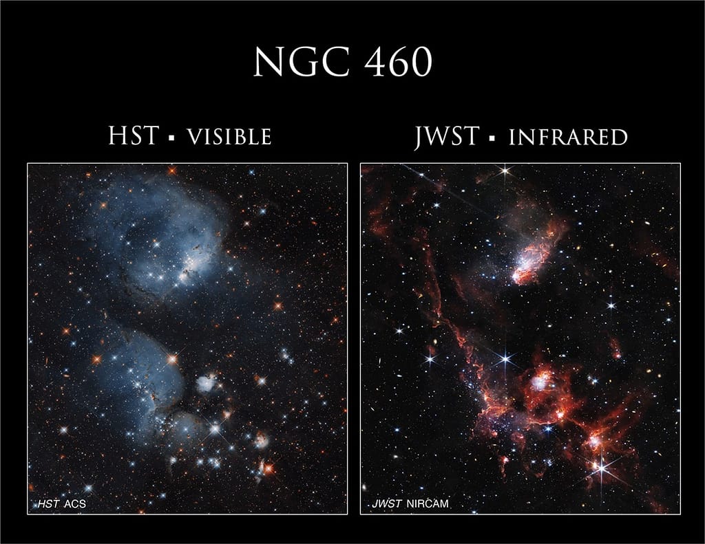 Nuvens de gás ionizado dominam o aglomerado aberto NGC 460 na imagem do Hubble (à esquerda), enquanto filamentos de poeira se destacam na imagem do Webb (à direita).
Juntas, as duas imagens oferecem uma visão mais abrangente da região.
Créditos: NASA, ESA e C. Lindberg (Universidade Johns Hopkins); Processamento: Gladys Kober