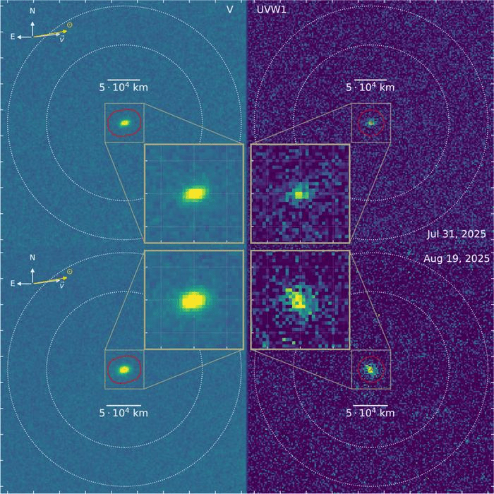 "O Telescópio Ultravioleta/Óptico Swift (UVOT) da NASA observou o cometa interestelar 3I/ATLAS durante duas visitas realizadas em julho e agosto de 2025. Os painéis mostram imagens em luz visível (à esquerda) e ultravioleta (à direita), nas quais o brilho tênue do hidroxila (OH) revela o vapor d’água escapando do cometa.
Crédito: Dennis Bodewits, Universidade de Auburn.