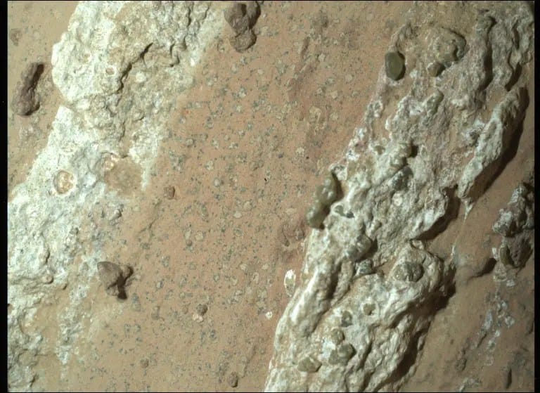 Imagem de uma rocha avermelhada marciana chamada “Cheyava Falls”, fotografada pela câmera WATSON do rover Perseverance em 18 de julho de 2024 (sol 1.212). A rocha apresenta veios grossos e brancos de sulfato de cálcio, com faixas avermelhadas sugerindo hematita. Na faixa central avermelhada, observam-se pequenas manchas claras e irregulares (tamanho de milímetros), circundadas por finos anéis escuros — lembrando “manchas de leopardo”. Essas feições podem surgir quando reações químicas envolvendo hematita transformam rochas vermelhas em brancas, liberando ferro e fosfato e, possivelmente, criando halos escuros e fontes de energia que, na Terra, servem de indício para vida microbiana. À esquerda e à direita das manchas, há material nodular branco com cristais verdes de olivina, típicos de rochas ígneas como fluxos de lava.