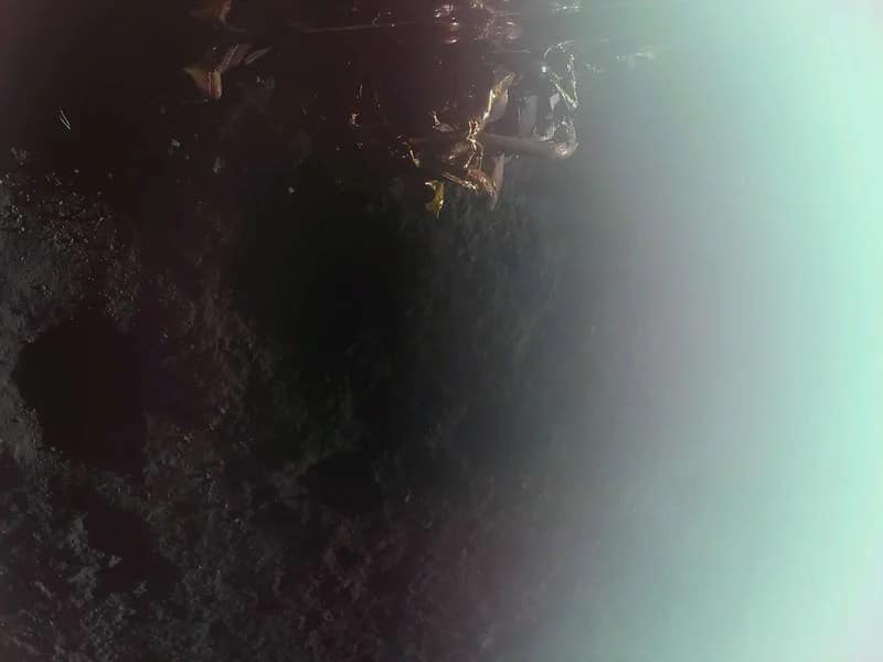 Primeira imagem capturada pelo módulo de pouso Blue Ghost da Firefly, logo após um pouso bem-sucedido na Lua. A imagem mostra a superfície lunar com detalhes impressionantes, incluindo uma visão superior dos propulsores RCS (Sistema de Controle de Atitude) do módulo de pouso, localizados ao centro. À direita, é possível ver o reflexo do Sol na superfície lunar, iluminando a cena e destacando a vastidão do ambiente. Esse registro marca um marco significativo na missão, simbolizando o avanço da exploração lunar e o potencial para futuras missões científicas
