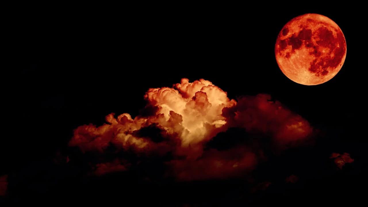 eclipse lunar total, conhecido como Lua de Sangue. A Lua avermelhada aparece no céu, vista entre os galhos de uma árvore com folhas, criando um enquadramento natural. O contraste entre a escuridão dos galhos e o brilho avermelhado da Lua destaca a beleza do fenômeno.