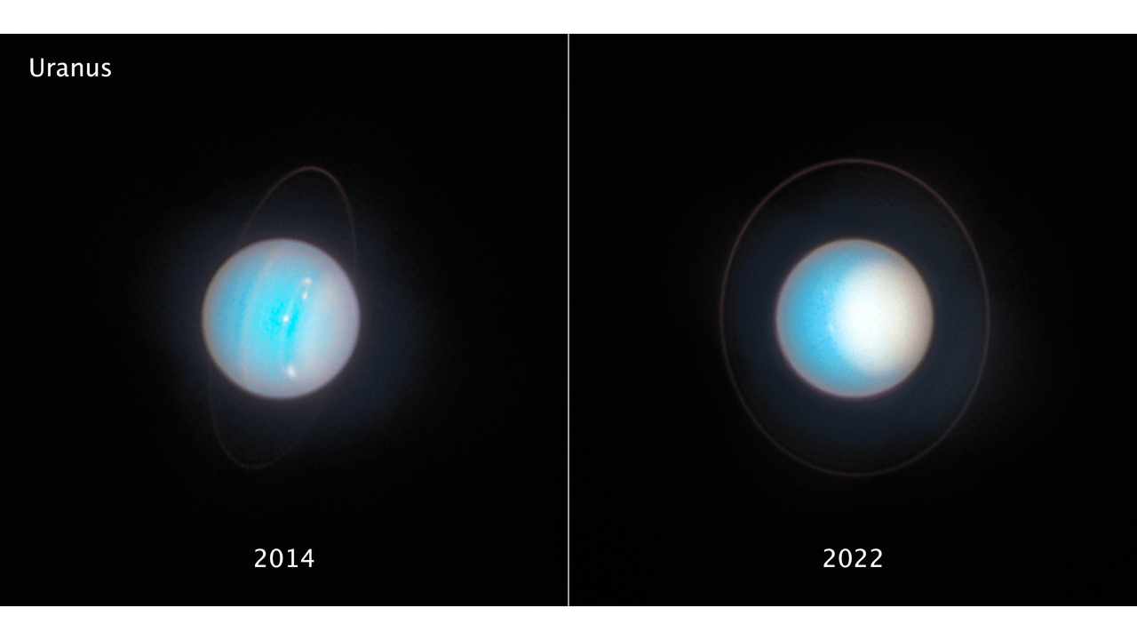 Essas imagens lado a lado de Urano, capturadas com oito anos de diferença pelo Telescópio Espacial Hubble da NASA, revelam mudanças sazonais na refletividade do planeta. A primeira, à esquerda, foi registrada sete anos após o equinócio de primavera no hemisfério norte, quando o Sol ainda iluminava a região equatorial. Já na imagem à direita, feita seis anos antes do solstício de verão, é possível observar uma calota polar norte muito mais brilhante e extensa — evidência clara das transformações atmosféricas ao longo do tempo.

Créditos: NASA, ESA, STScI, A. Simon (NASA-GSFC), M. H. Wong (UC Berkeley), J. DePasquale (STScI)