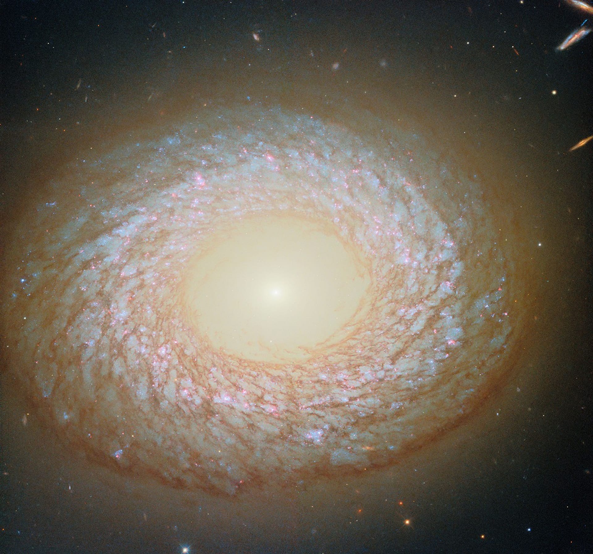 "Uma galáxia vista de frente, com um disco ligeiramente elíptico que parece ter um buraco no centro, como um donut. No buraco, o núcleo é um ponto brilhante que emite luz além da borda do disco. Ao redor do buraco há um anel interno de poeira, e na borda da galáxia há um anel externo mais espesso de poeira, com uma teia espiralada de filamentos de poeira entre os dois. Estrelas azuis e nebulosas vermelhas são visíveis por trás da poeira."