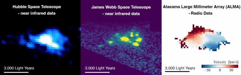 As “Uvas Cósmicas” apareceram inicialmente em dados anteriores do Telescópio Espacial Hubble (à esquerda) como uma galáxia típica, com um disco estelar suave. No entanto, observações de acompanhamento em alta resolução feitas pelo James Webb (centro) e pelo ALMA (à direita) revelaram que ela é composta por inúmeros aglomerados estelares compactos embutidos em um disco de gás liso e em rotação. As cores vermelha e azul no painel da direita representam os movimentos do gás em desvio para o vermelho e para o azul, respectivamente, rastreando a rotação do disco.
Crédito: Dados de instrumentos específicos, montagem por NSF/AUI/NSF NRAO/B. Saxton
